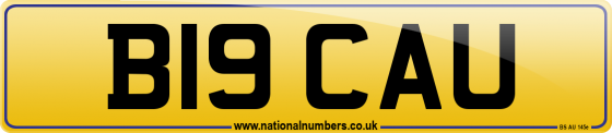 B19 CAU