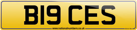 B19 CES