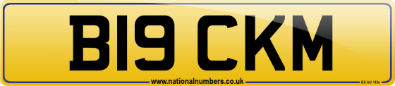 B19 CKM
