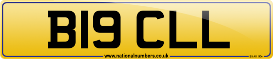 B19 CLL