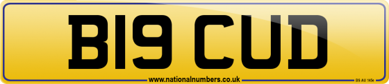 B19 CUD
