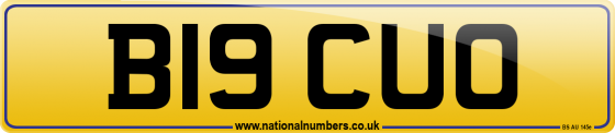 B19 CUO