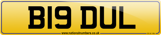 B19 DUL