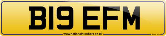 B19 EFM