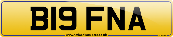 B19 FNA