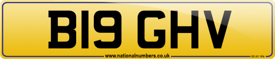 B19 GHV