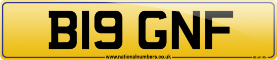 B19 GNF