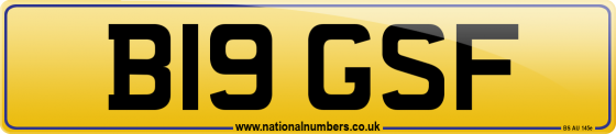 B19 GSF