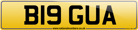 B19 GUA