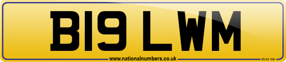B19 LWM