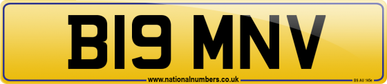 B19 MNV