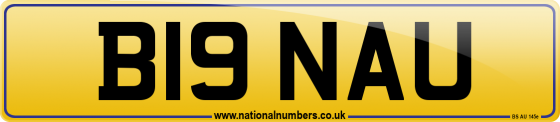 B19 NAU