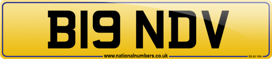B19 NDV