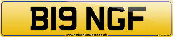 B19 NGF