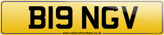 B19 NGV
