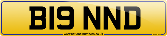 B19 NND