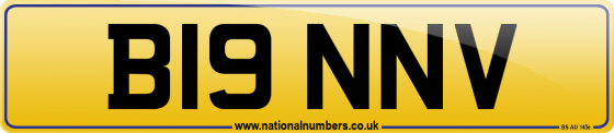 B19 NNV