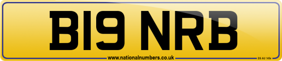 B19 NRB