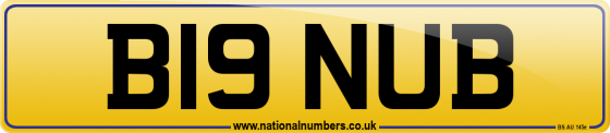 B19 NUB