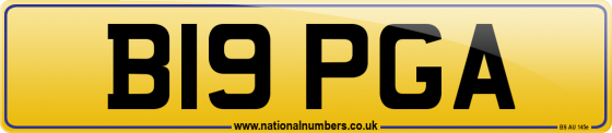 B19 PGA