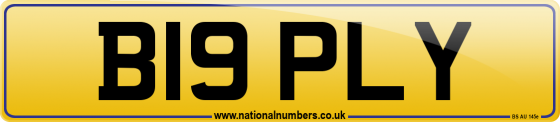 B19 PLY