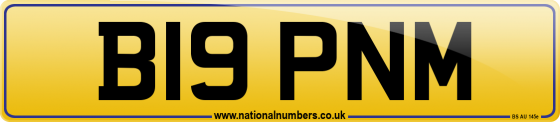 B19 PNM