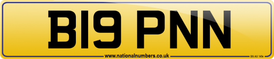 B19 PNN