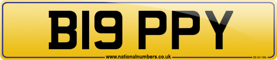 B19 PPY