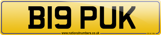 B19 PUK