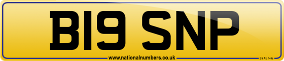 B19 SNP