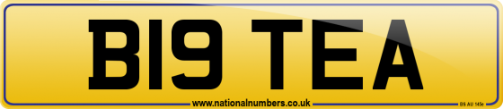 B19 TEA