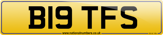 B19 TFS