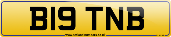 B19 TNB