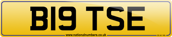 B19 TSE