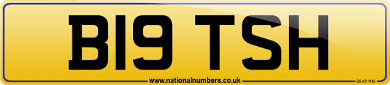B19 TSH