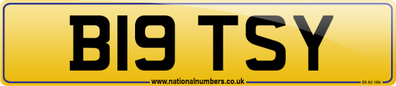 B19 TSY