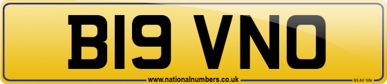 B19 VNO