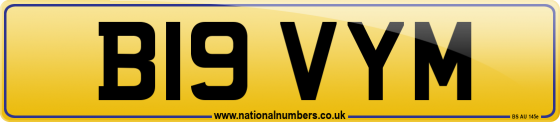 B19 VYM