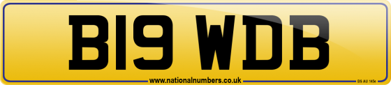 B19 WDB