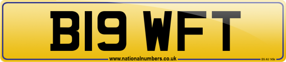 B19 WFT