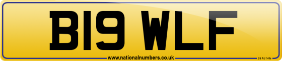 B19 WLF