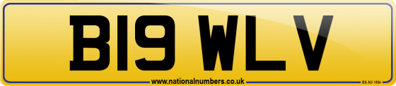 B19 WLV