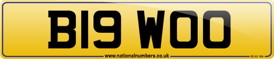 B19 WOO