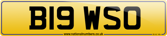 B19 WSO