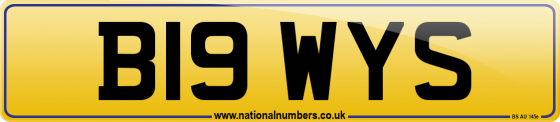 B19 WYS