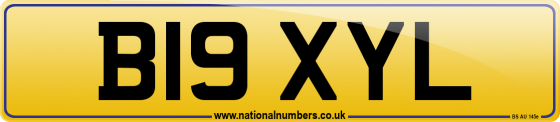 B19 XYL