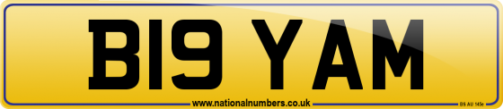 B19 YAM