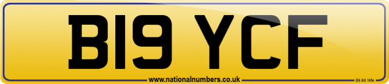B19 YCF