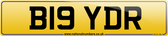 B19 YDR