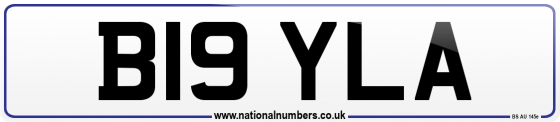 B19 YLA